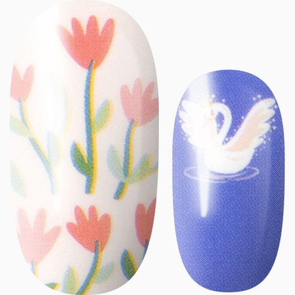 Swan-derful