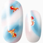Follow My Fins