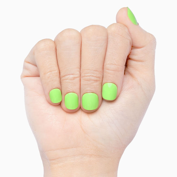 Limelight