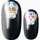 Mexican Painted Skulls