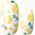 Citrus Punch