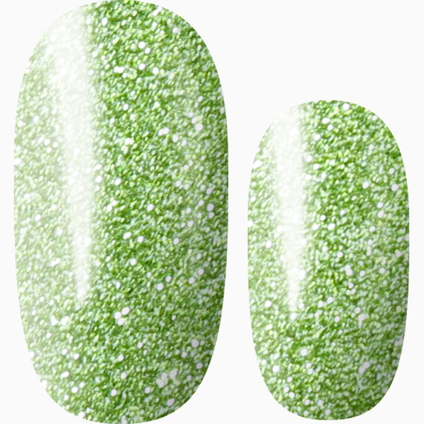 Saint Patrick's Day ☘️