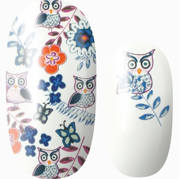 You're a Hoot