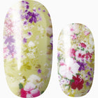 Ok, Bloomer!