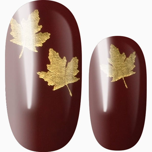 Falling For Maple