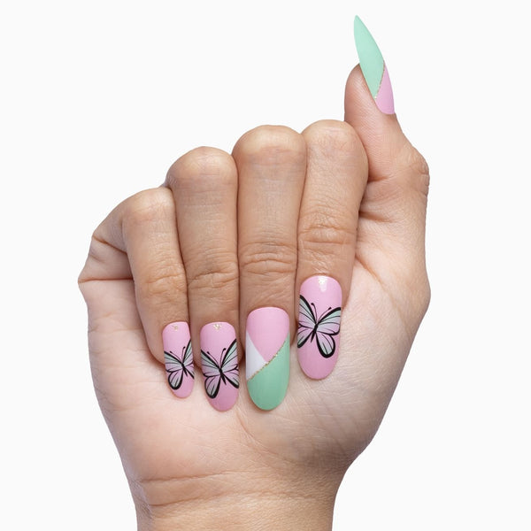 Spring Flutter