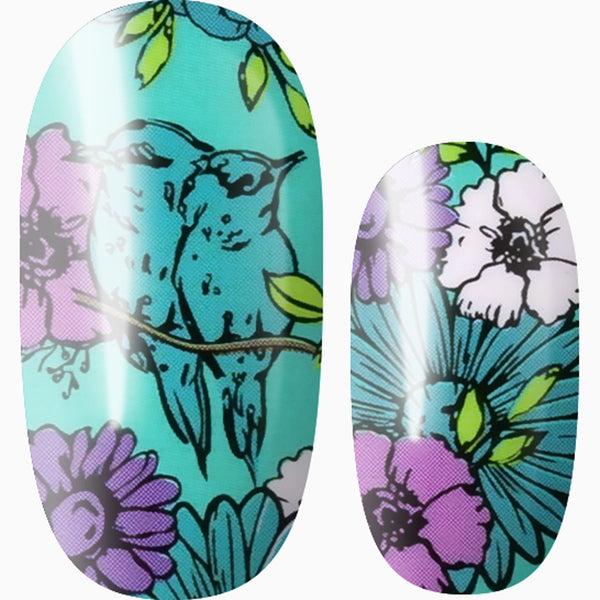 Birds of Spring