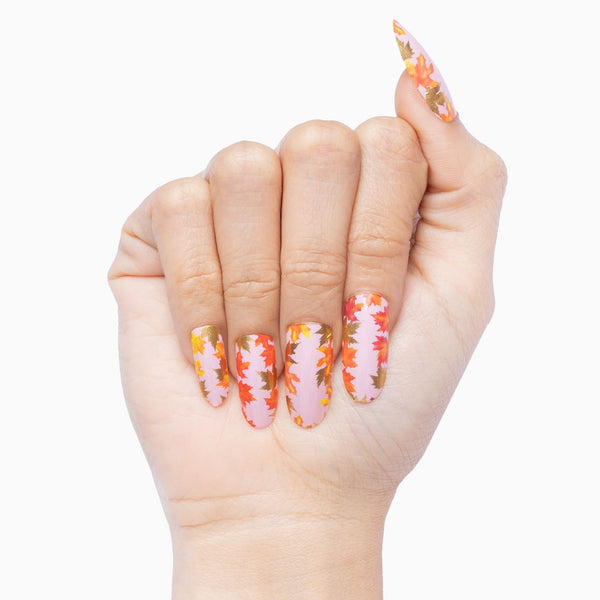 Golden Maple Moments