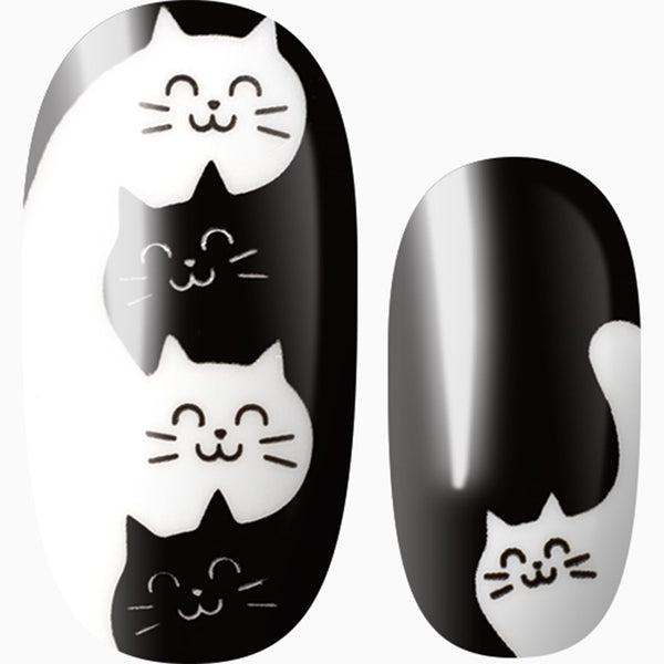 Purrfect Duo