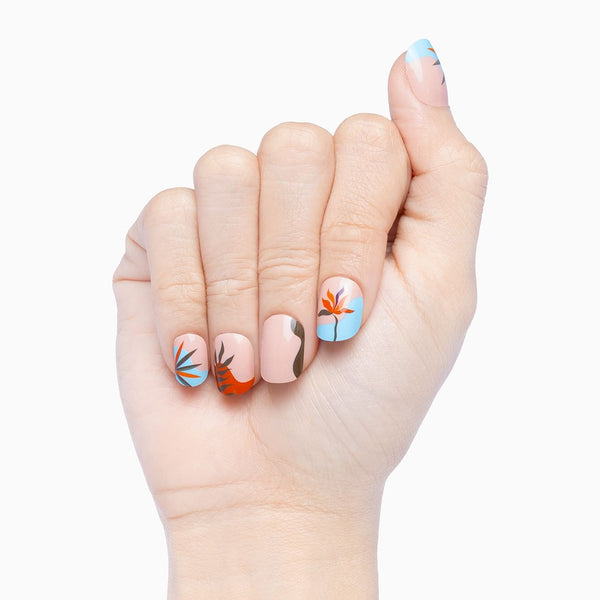 Where The Red Fern Grows