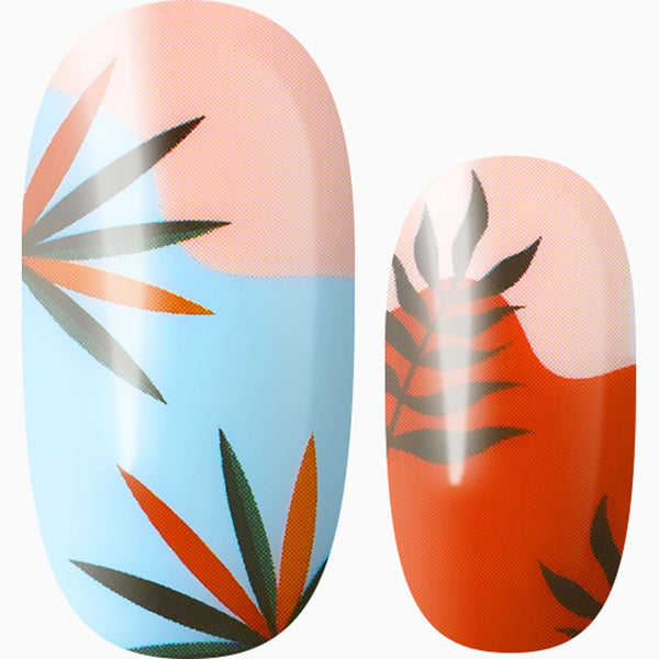 Where The Red Fern Grows