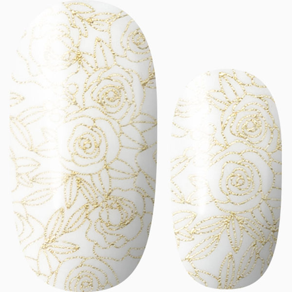 Wrap Me in Gold (transparent)