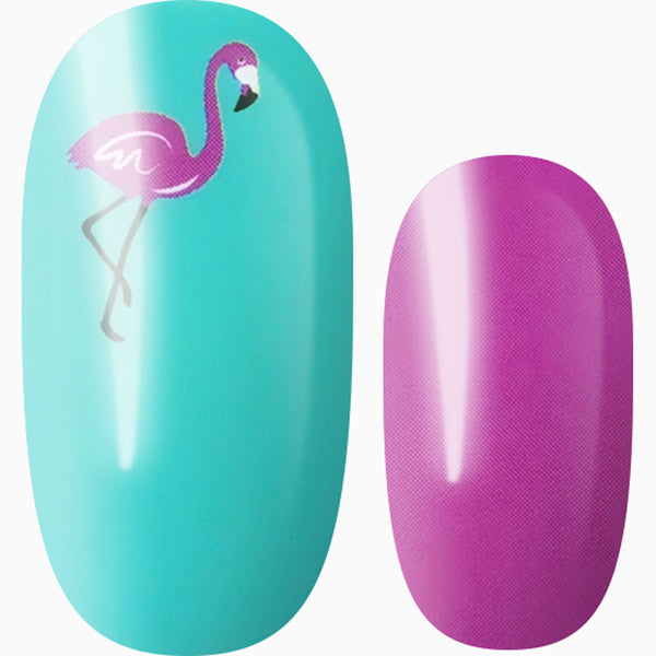 Single & Ready to Flamingle
