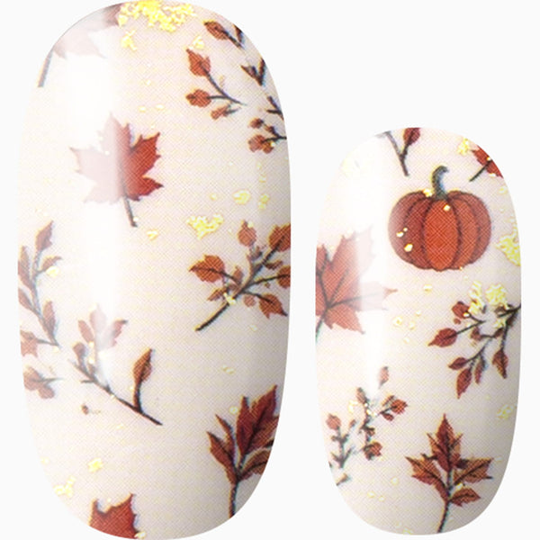 Autumn’s Confetti