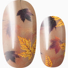 Autumn Glow